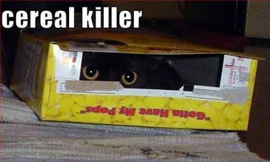 cerealkiller.bmp