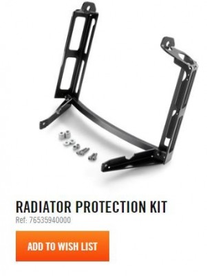 Rad Brace 690.JPG